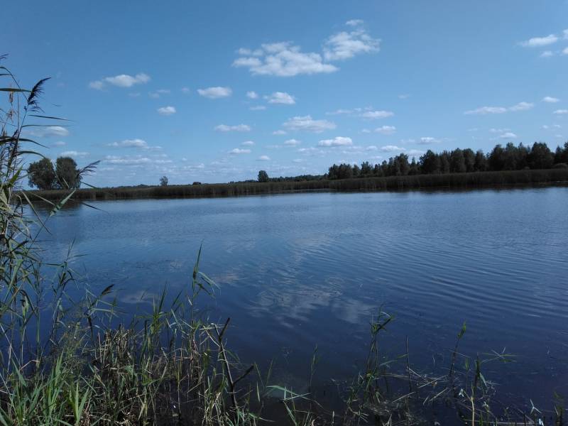 Фотоотчет с рыбалки. Место: Смоленск