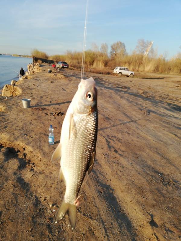 Фотоотчет с рыбалки. Место: Астрахань