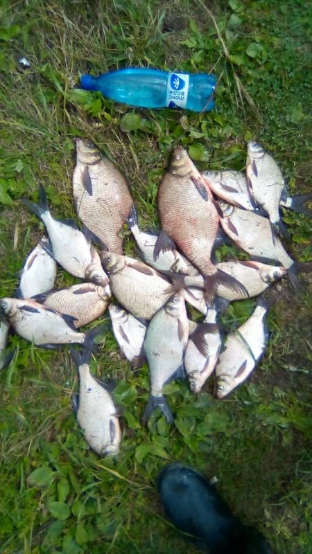 Фотоотчет по рыбе: Лещ. Место рыбалки: Челябинская область