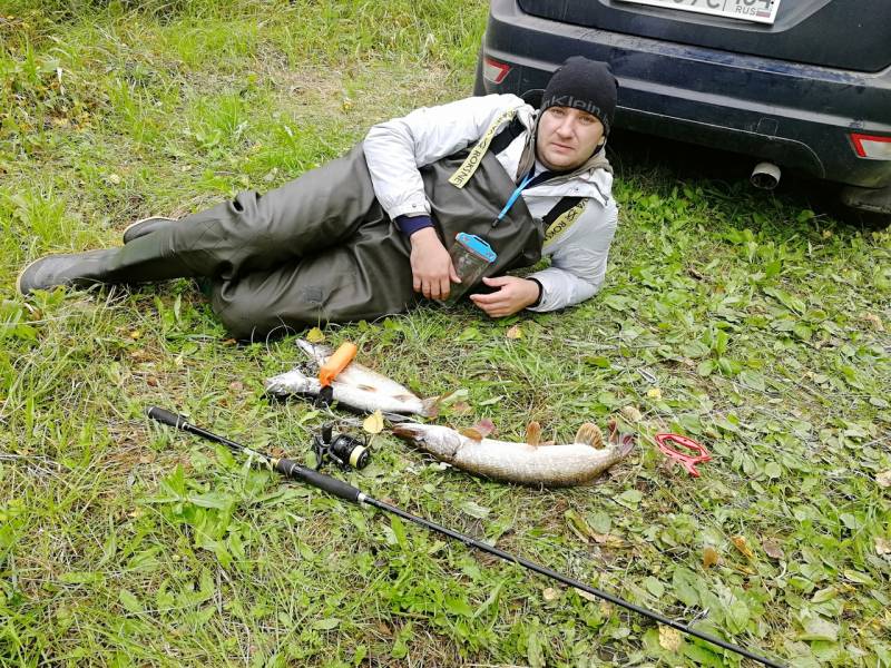 Рыболовный отчет по рыбе: Щука