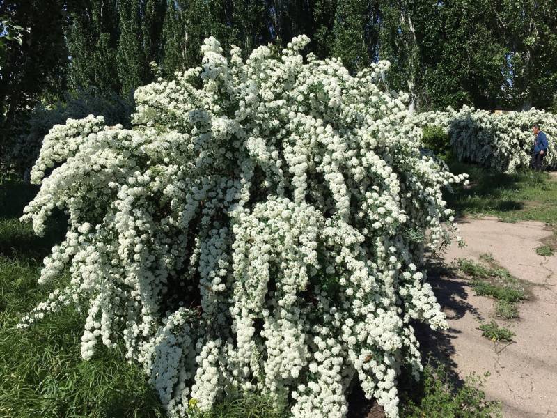 Фотоотчет с рыбалки. Место: Саратовская область