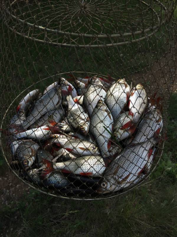 Фотоотчет с рыбалки. Место: Саратовская область