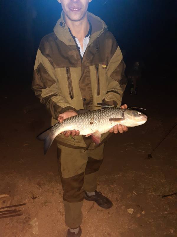 Фотоотчет по рыбе: Амур Белый. Место рыбалки: Саратовская область