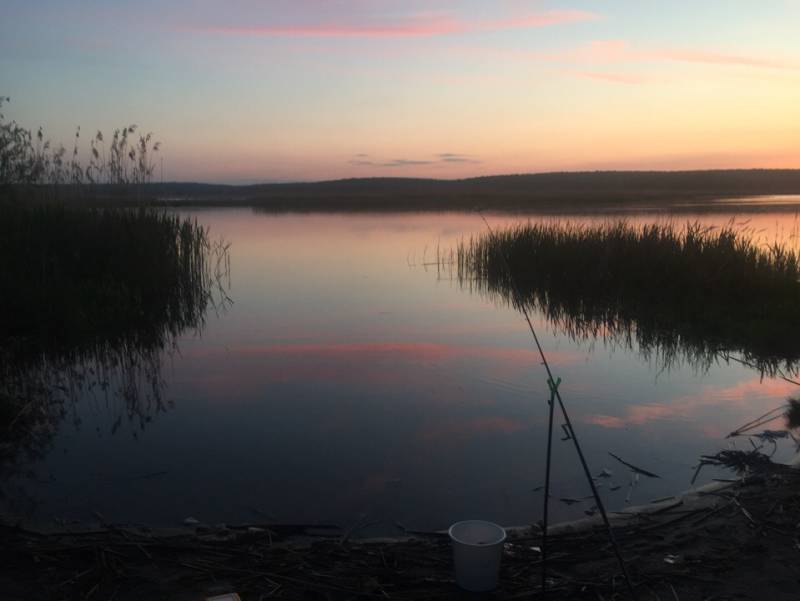 Фотоотчет с рыбалки. Место: Воронежское водохранилище