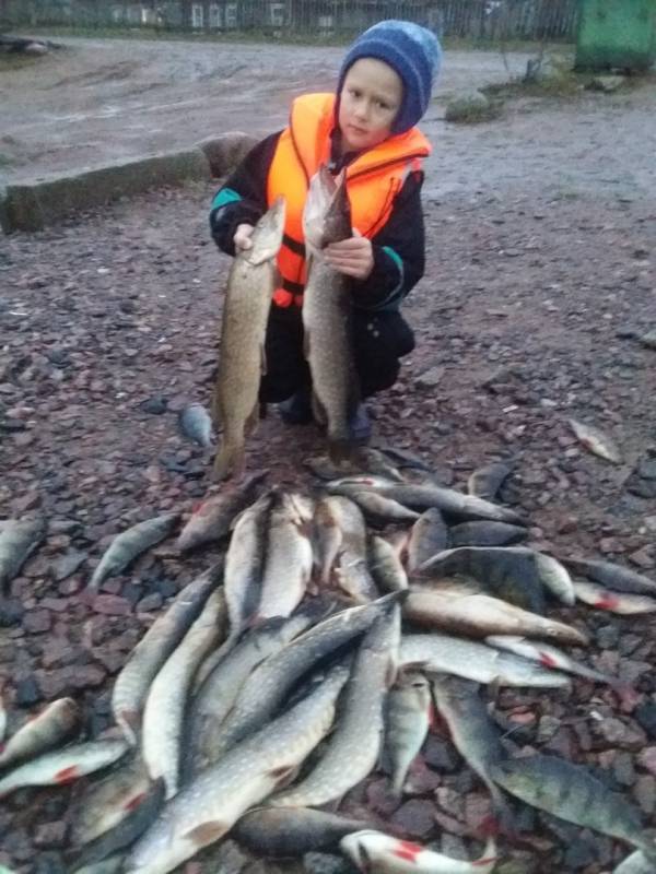 Фотоотчет по рыбе: Щука, Окунь. Место рыбалки: Ленинградская область