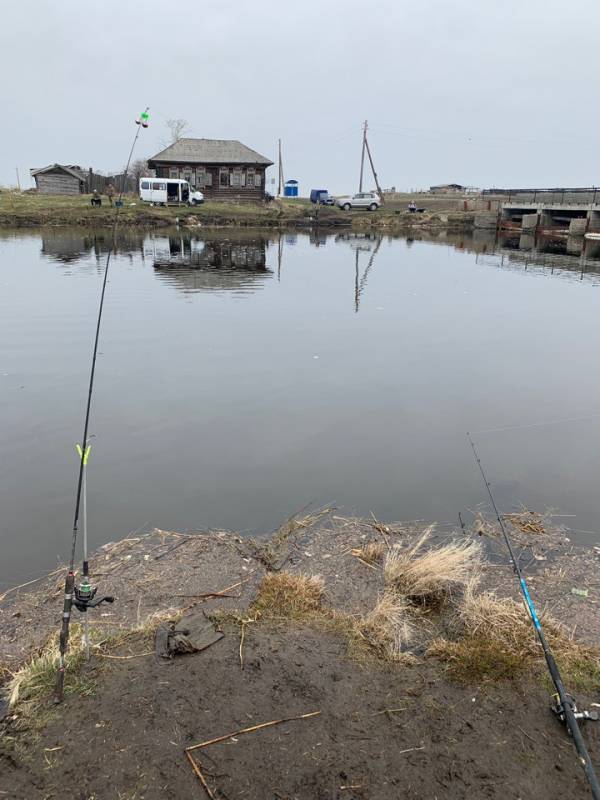 Фотоотчет с рыбалки. Место: озеро Тенис (Омская обл.)