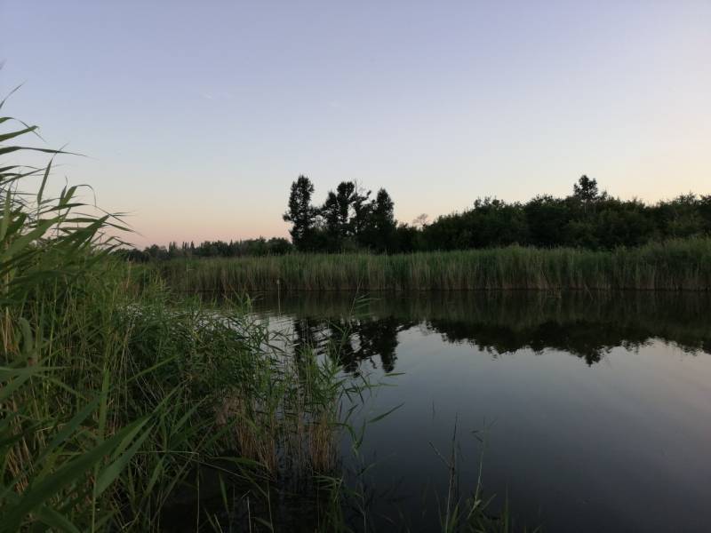 Фотоотчет с рыбалки. Место: озеро Кулачье (Омская обл.)