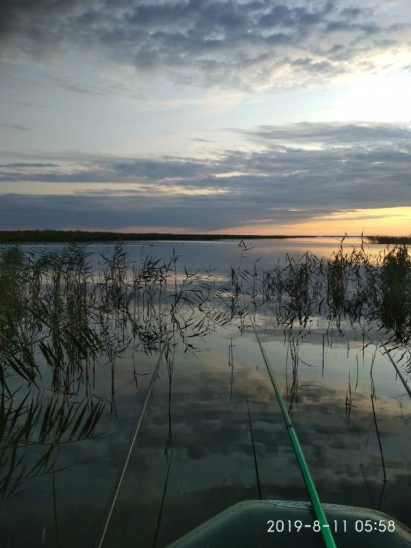 Фотоотчет с рыбалки. Место: озеро Сартлан