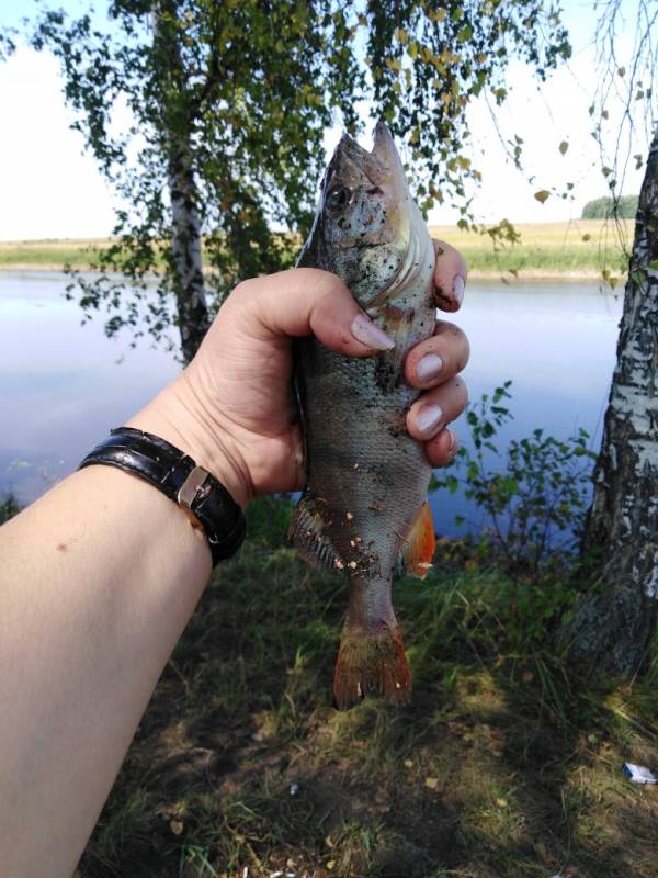 Фотоотчет с рыбалки. Место: Оша