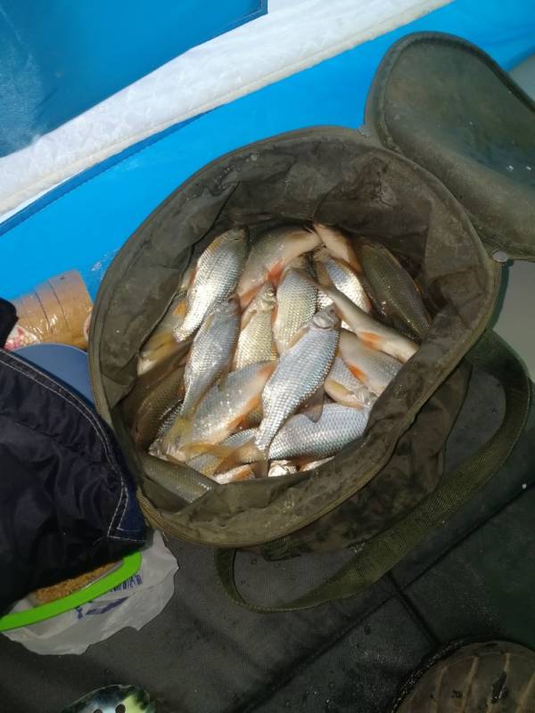 Фотоотчет с рыбалки. Место: Омская область