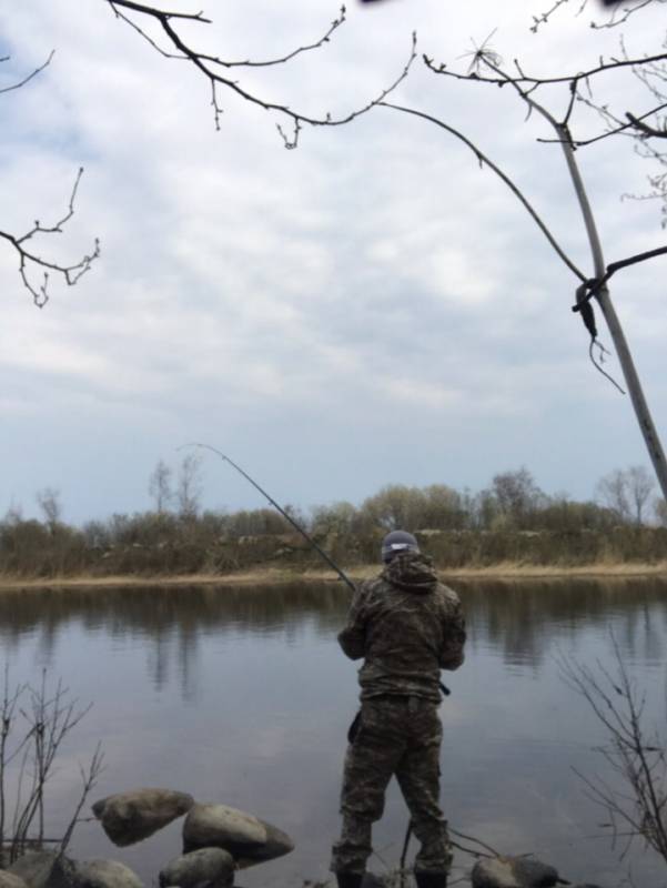 Фотоотчет с рыбалки. Место: Ленинградская область