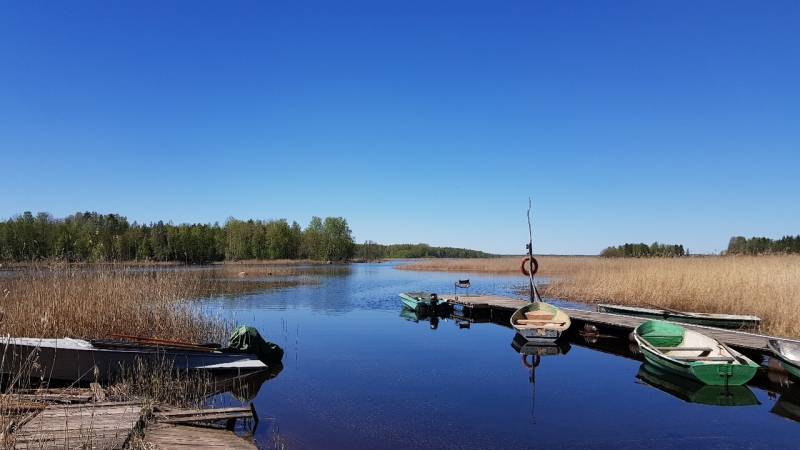 Фотоотчет с рыбалки. Место: Приозерский район