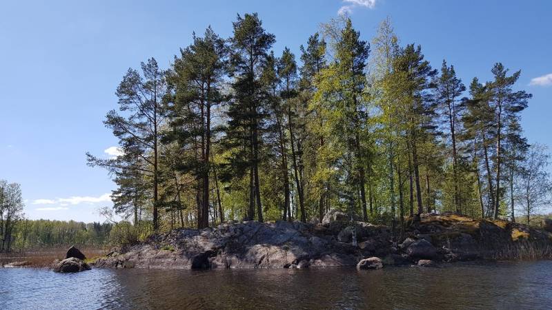 Фотоотчет с рыбалки. Место: Приозерский район