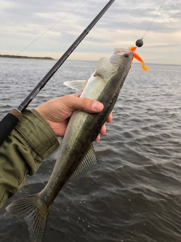 Фотоотчет с рыбалки. Место: Санкт-Петербург