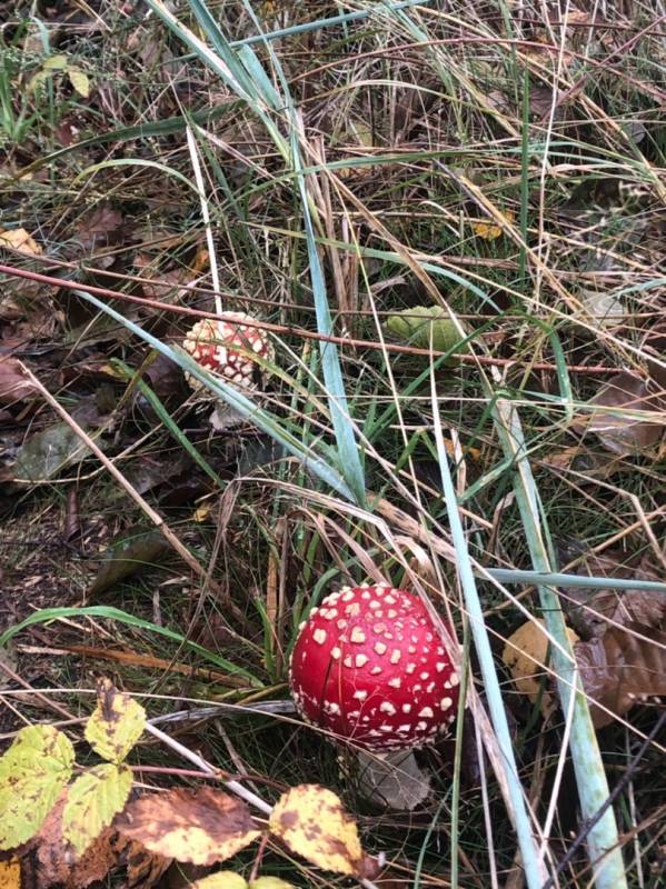 Фотоотчет с рыбалки. Место: Сосновоборский городской округ