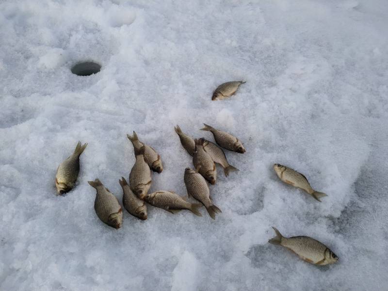 Фотоотчет с рыбалки. Место: Ишимский район