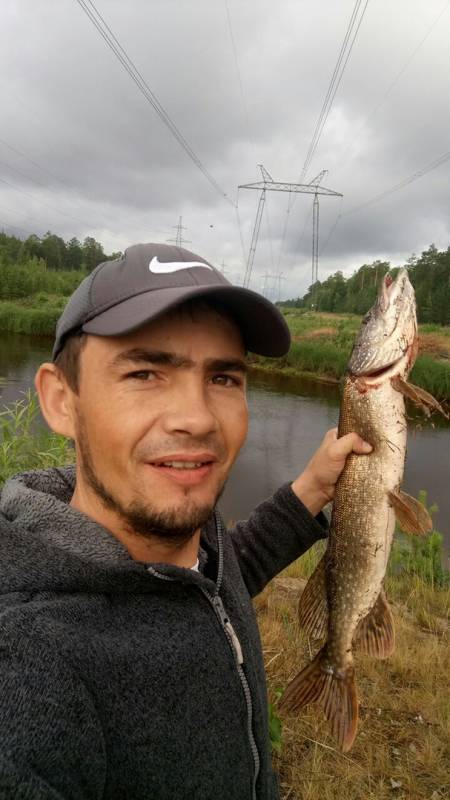 Рыболовный отчет по рыбе: Щука