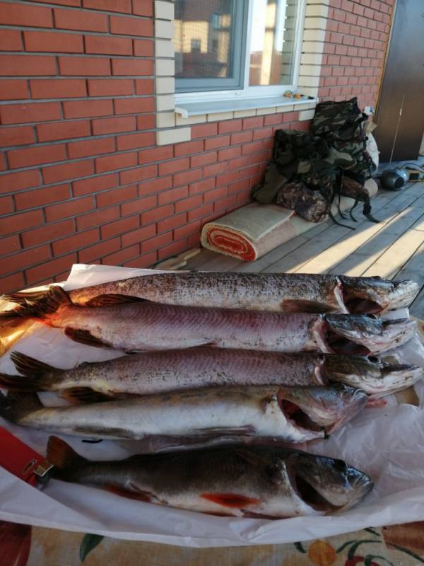 Фотоотчет с рыбалки. Место: Новгородская область