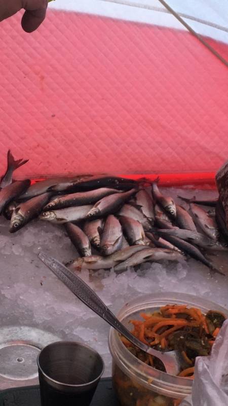 Фотоотчет с рыбалки. Место: Мурманская область