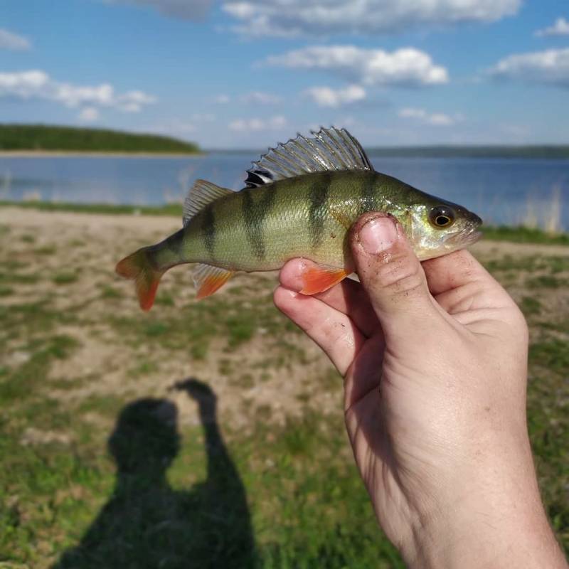 Фотоотчет с рыбалки. Место: Уруссу