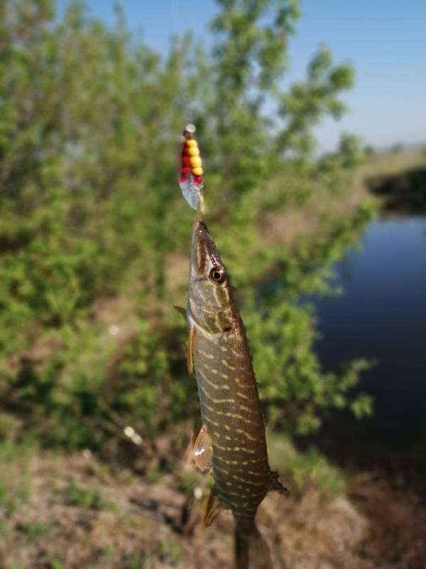 Фотоотчет с рыбалки. Место: Республика Татарстан