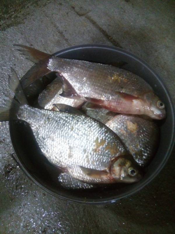 Фотоотчет с рыбалки. Место: Республика Башкортостан