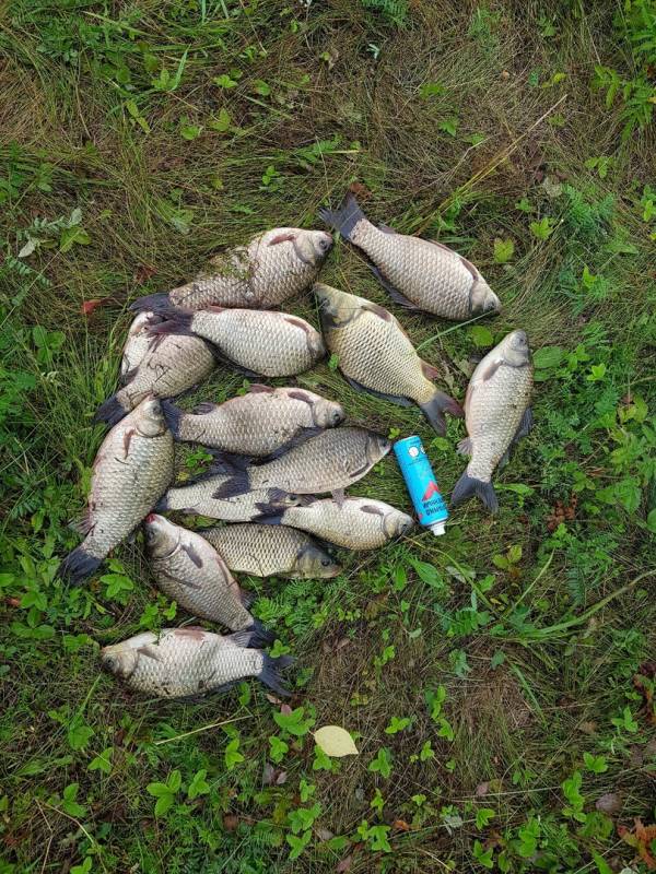 Фотоотчет по рыбе: Карась. Место рыбалки: Республика Башкортостан