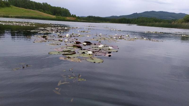 Фотоотчет с рыбалки. Место: Миасс