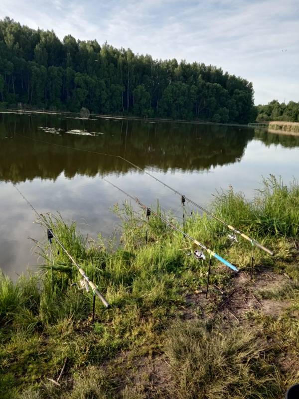 Фотоотчет с рыбалки. Место: Смоленская область