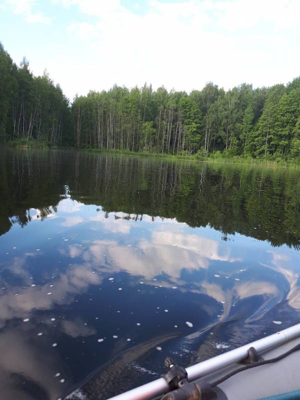 Фотоотчет с рыбалки. Место: Десногорское водохранилище