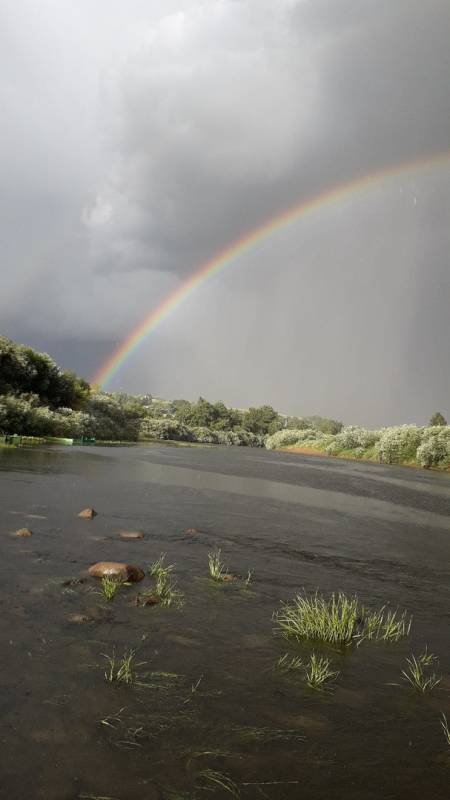 Фотоотчет с рыбалки. Место: Днепр