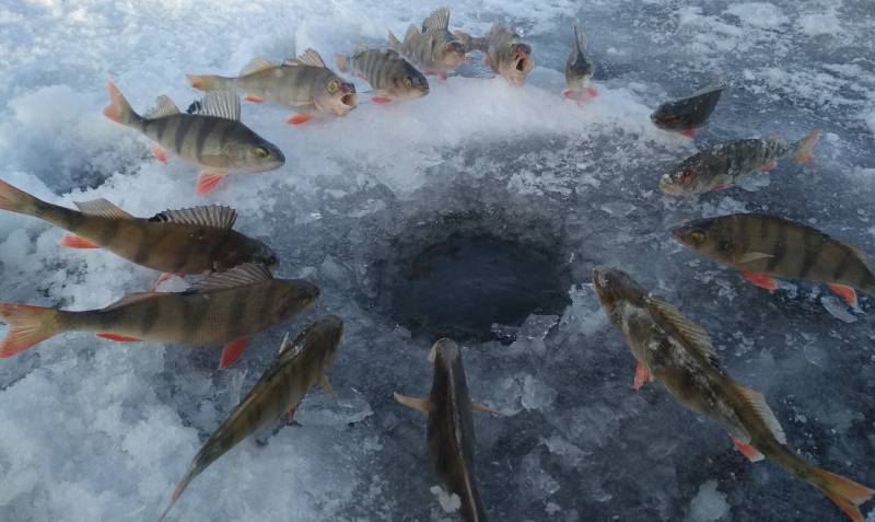 Фотоотчет с рыбалки. Место: Верхнеуральское вдхр (Магнитогорск)