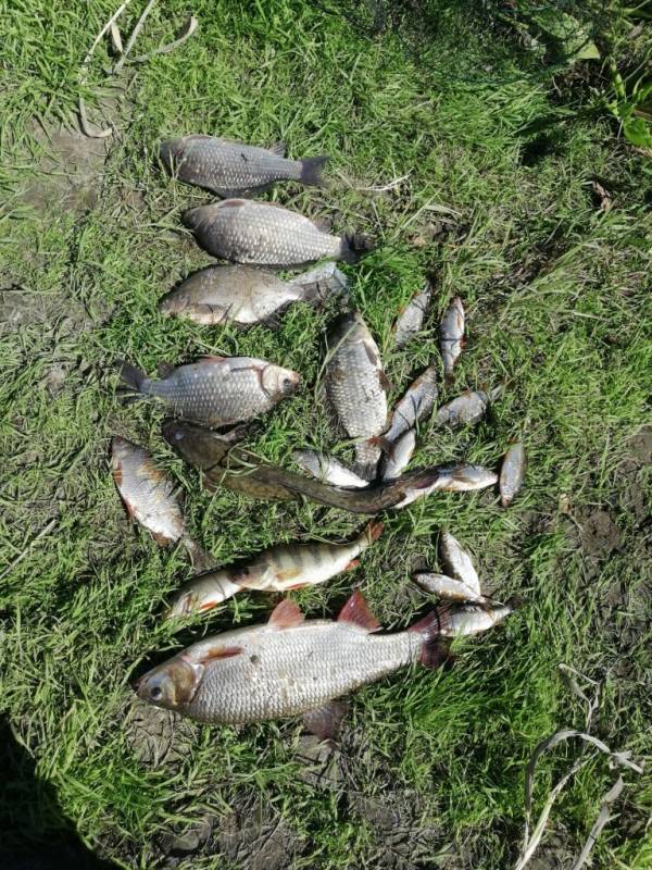 Фотоотчет с рыбалки. Место: Тюменская область