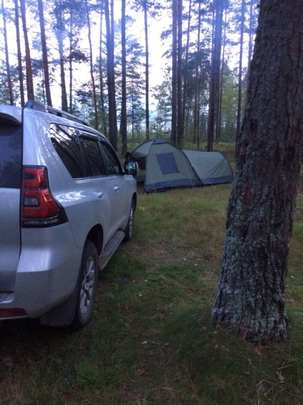 Фотоотчет с рыбалки. Место: Лужский район