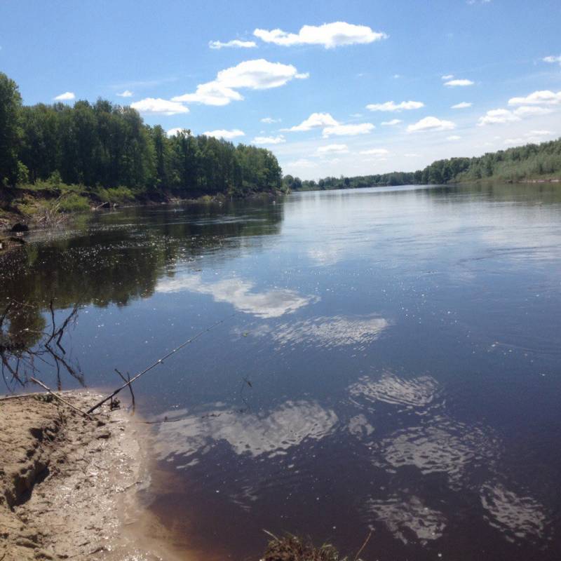 Фотоотчет с рыбалки. Место: Нижегородская область