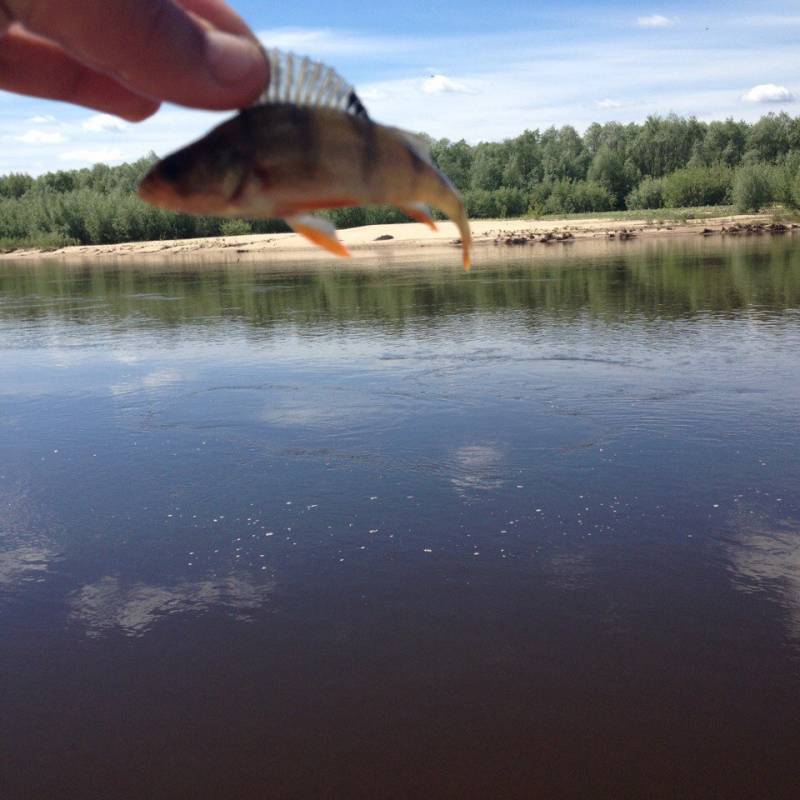 Фотоотчет с рыбалки. Место: Нижегородская область