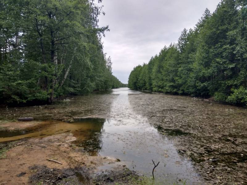 Фотоотчет с рыбалки. Место: Заволжье