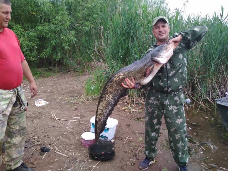 Фотоотчет по рыбе: Сом. Место рыбалки: Воткинское водохранилище