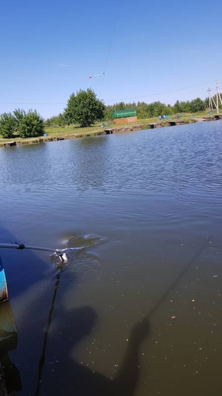 Фотоотчет с рыбалки. Место: Подольск (Московская обл.)