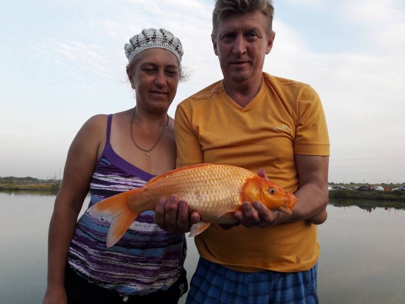 Фотоотчет по рыбе: Карп. Место рыбалки: Челябинск (Челябинская обл.)