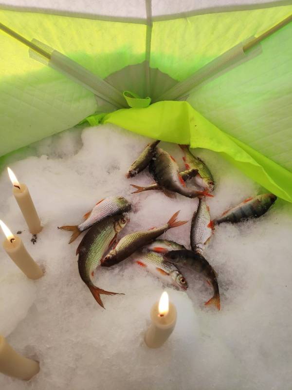 Фотоотчет по рыбе: Окунь, Плотва. Место рыбалки: Тюменская область