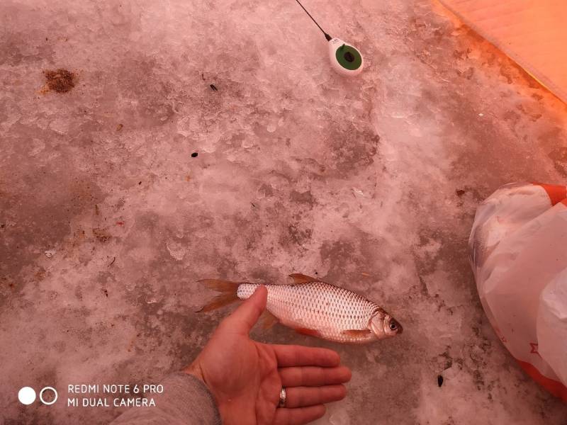 Фотоотчет с рыбалки. Место: Тюменский район