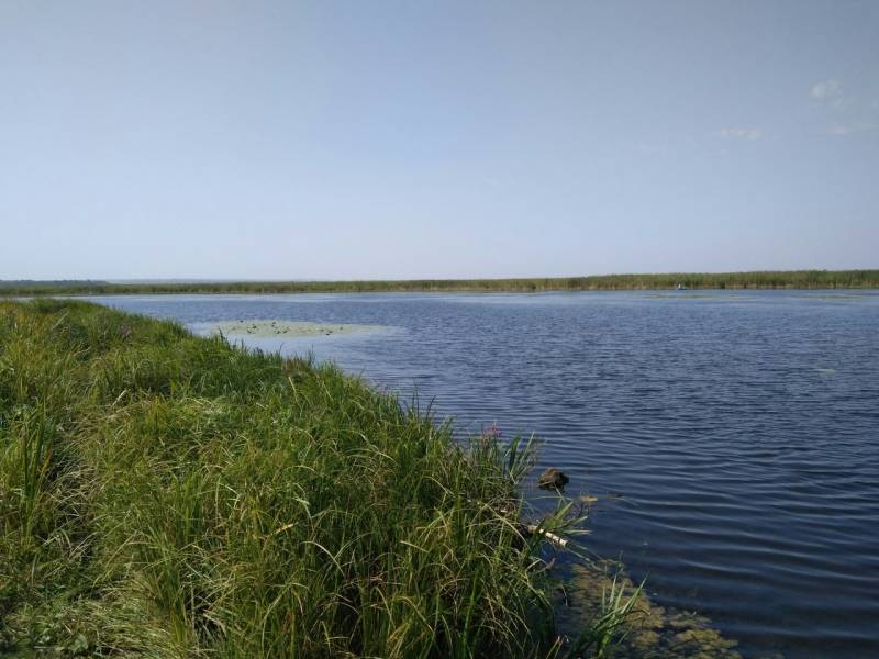 Фотоотчет с рыбалки. Место: Алтайский край