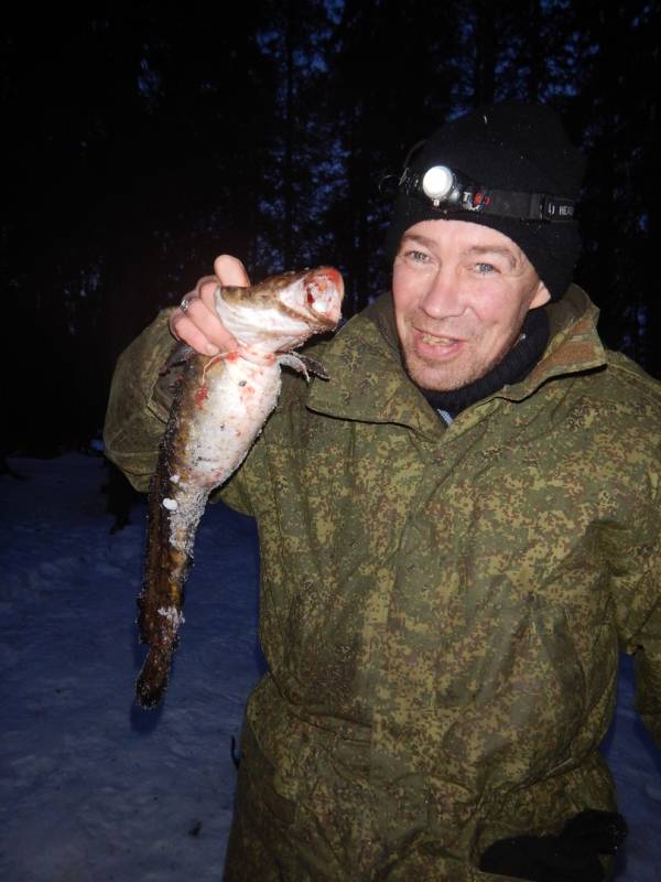 Фотоотчет по рыбе: Налим. Место рыбалки: Архангельская область
