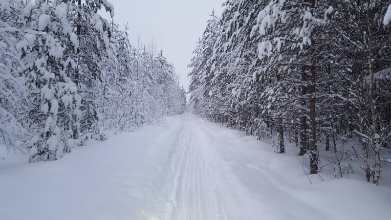 Фотоотчет с рыбалки. Место: Архангельск