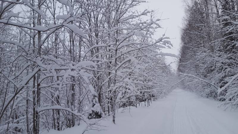 Фотоотчет с рыбалки. Место: Архангельск (Архангельская обл.)