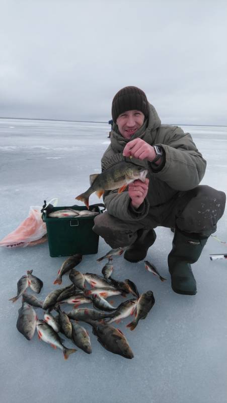 Фотоотчет по рыбе: Окунь. Место рыбалки: Архангельская область
