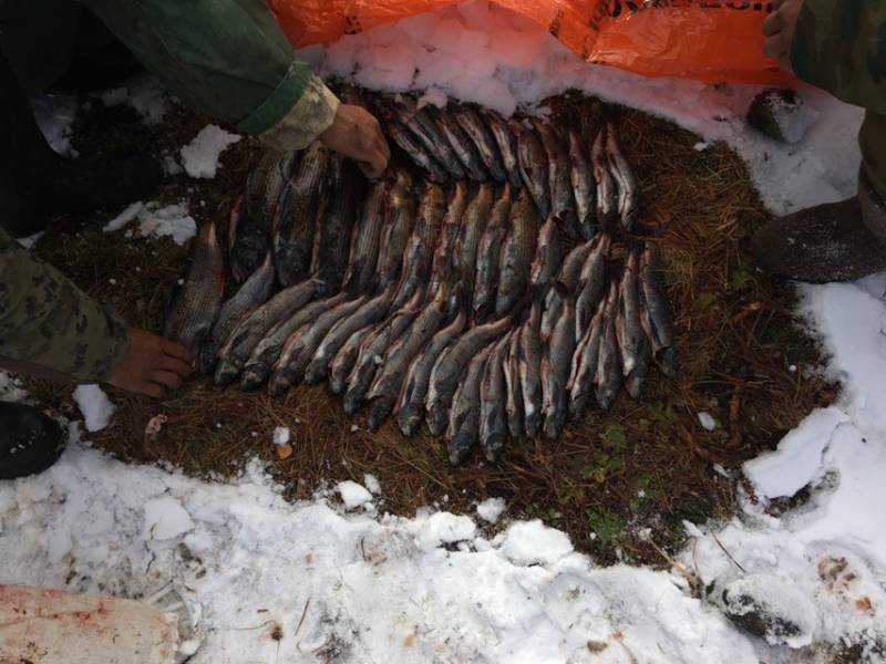 Фотоотчет с рыбалки. Место: Республика Алтай