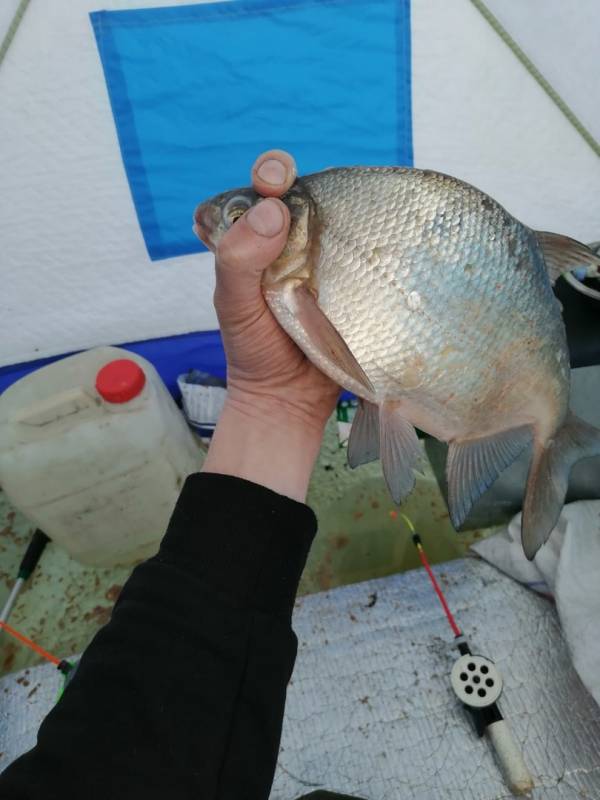 Фотоотчет с рыбалки. Место: Республика Хакасия