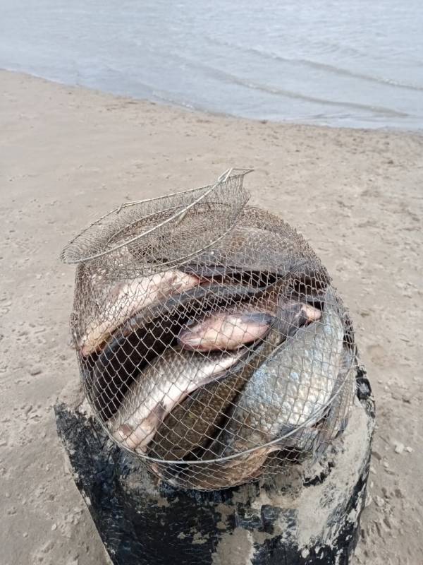Фотоотчет с рыбалки. Место: Россия